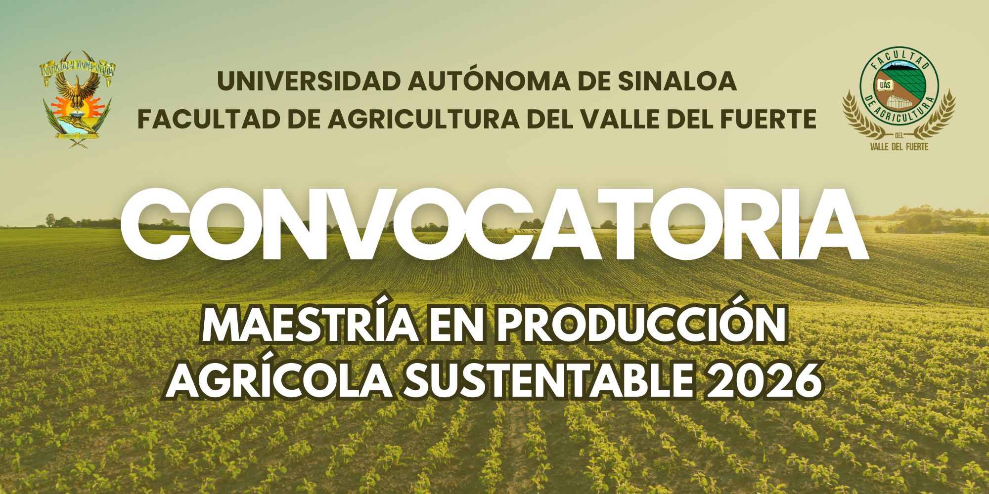 Convocatoria Maestría en Producción Agrícola Sustentable